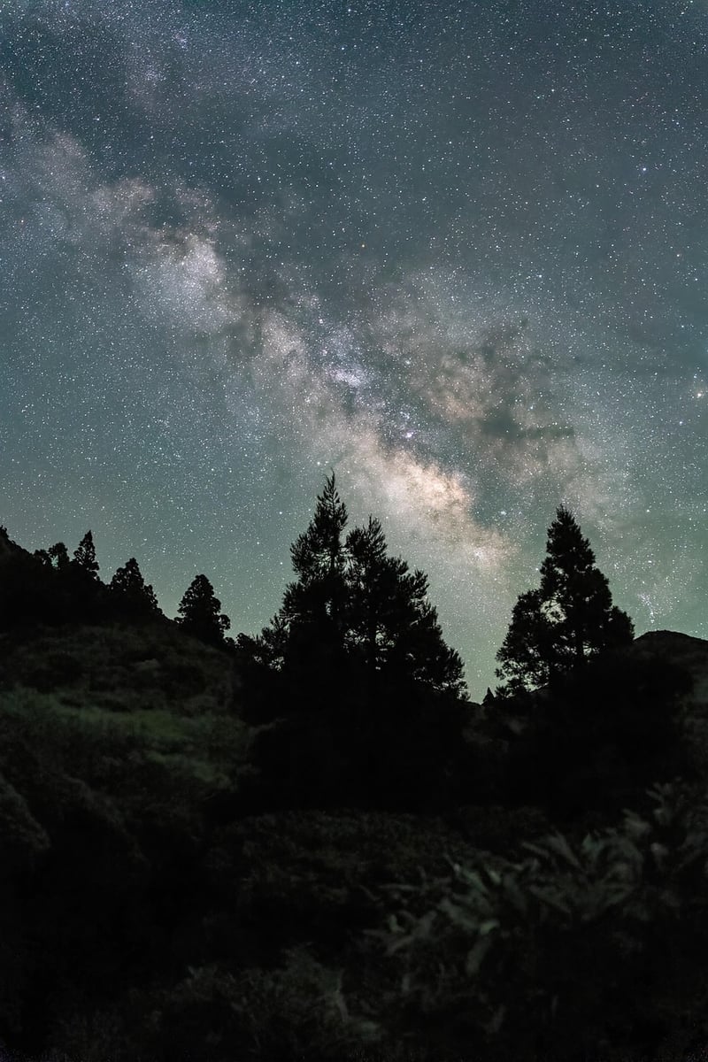 Starlight Terrace